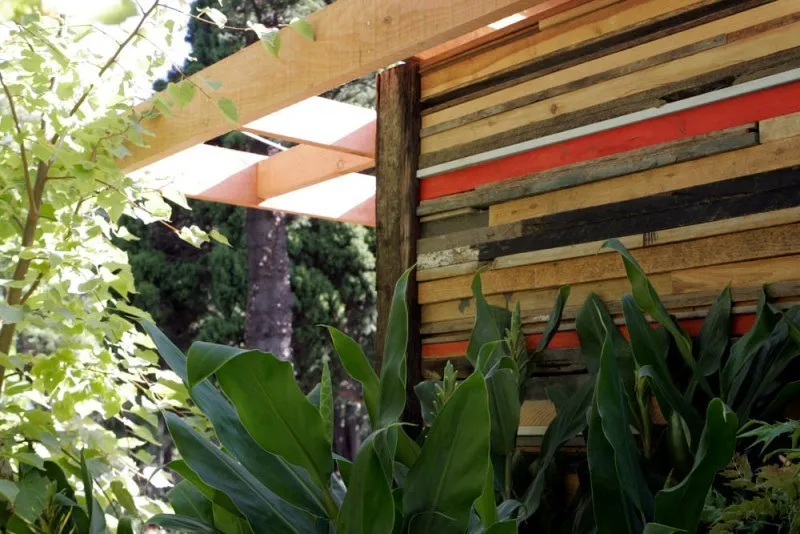 Timber Closeup 1416