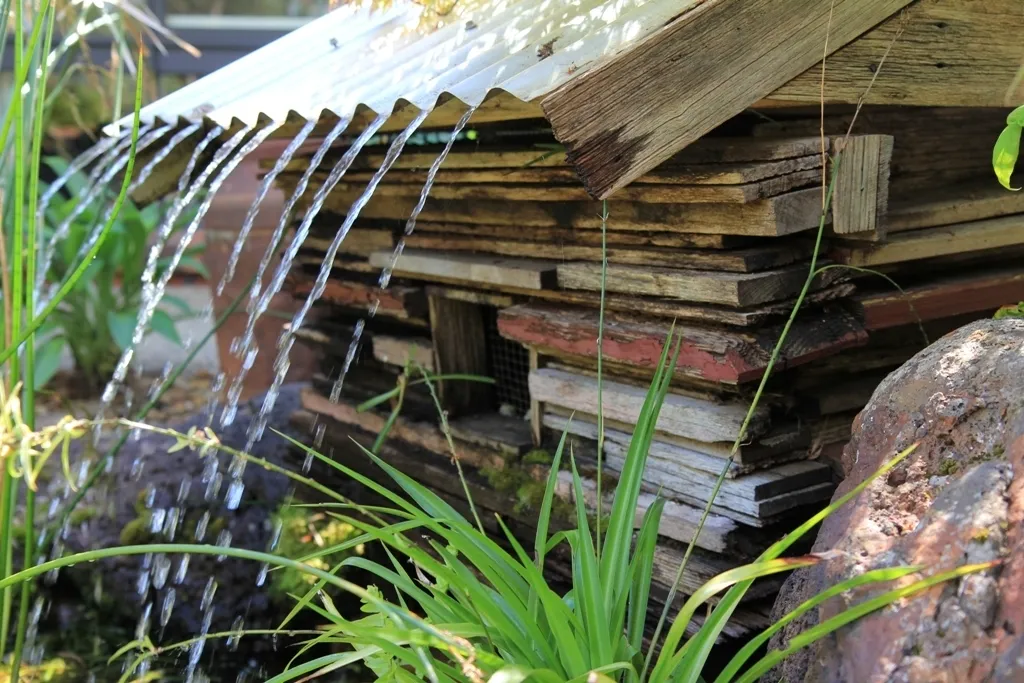 Water Feature 1726