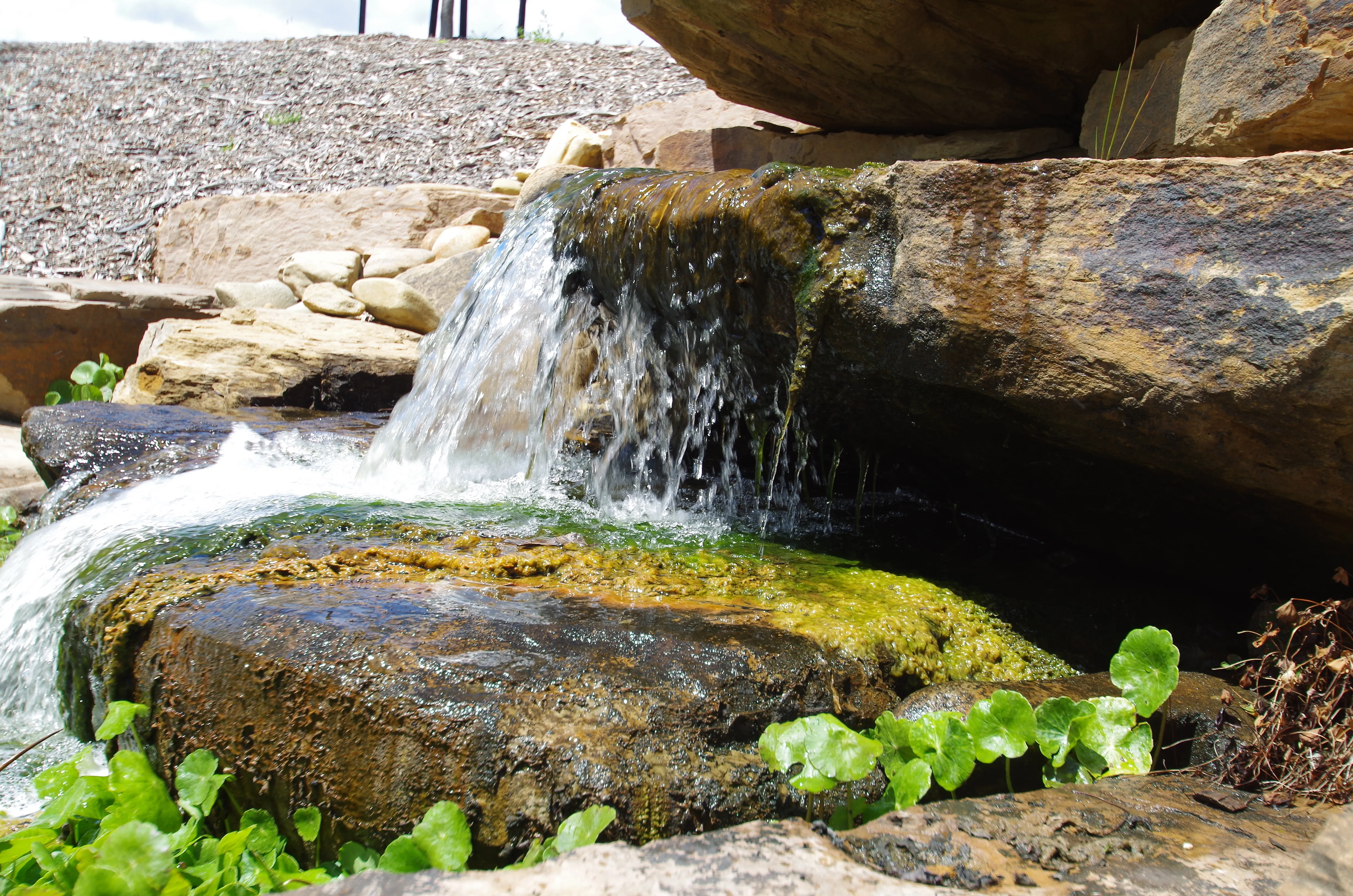 Waterfall Rocks
